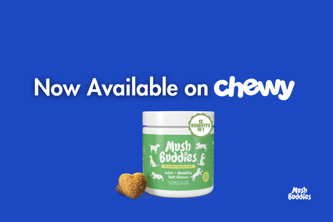 Mush Buddies Is Now Available on Chewy!