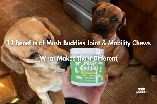 12 Benefits of Mush Buddies Joint & Mobility Chews (What Makes Them Different)