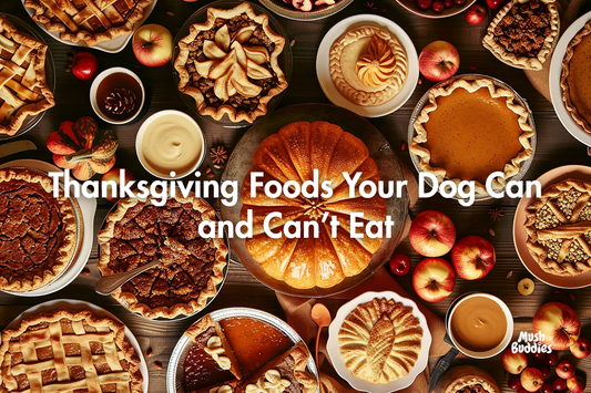 🦃 Thanksgiving Foods Your Dog Can and Can’t Eat