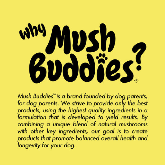 Mush Buddies Mushroom Dog Supplements. Joint & Mobility support, gut health for dogs, skin & coat health, dog multi-vitamins. Mushrooms for dogs. Medicinal mushrooms for dogs. 