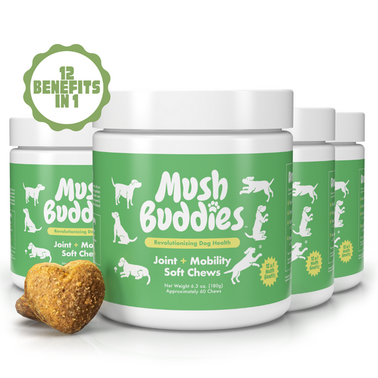 4-Pack Joint & Mobility Chews