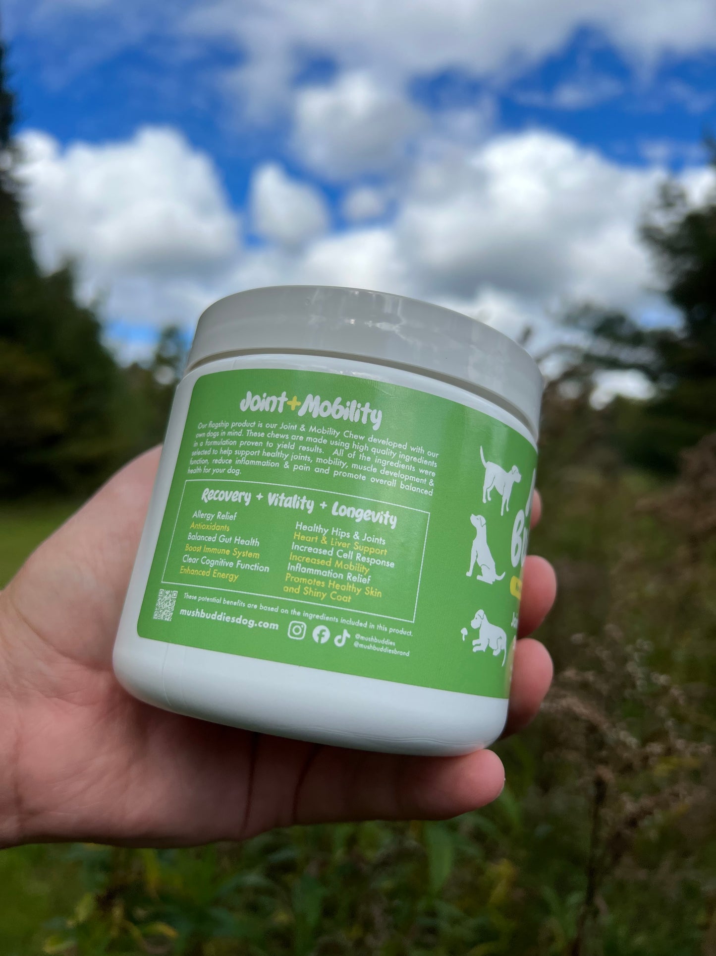 Joint & Mobility Chews