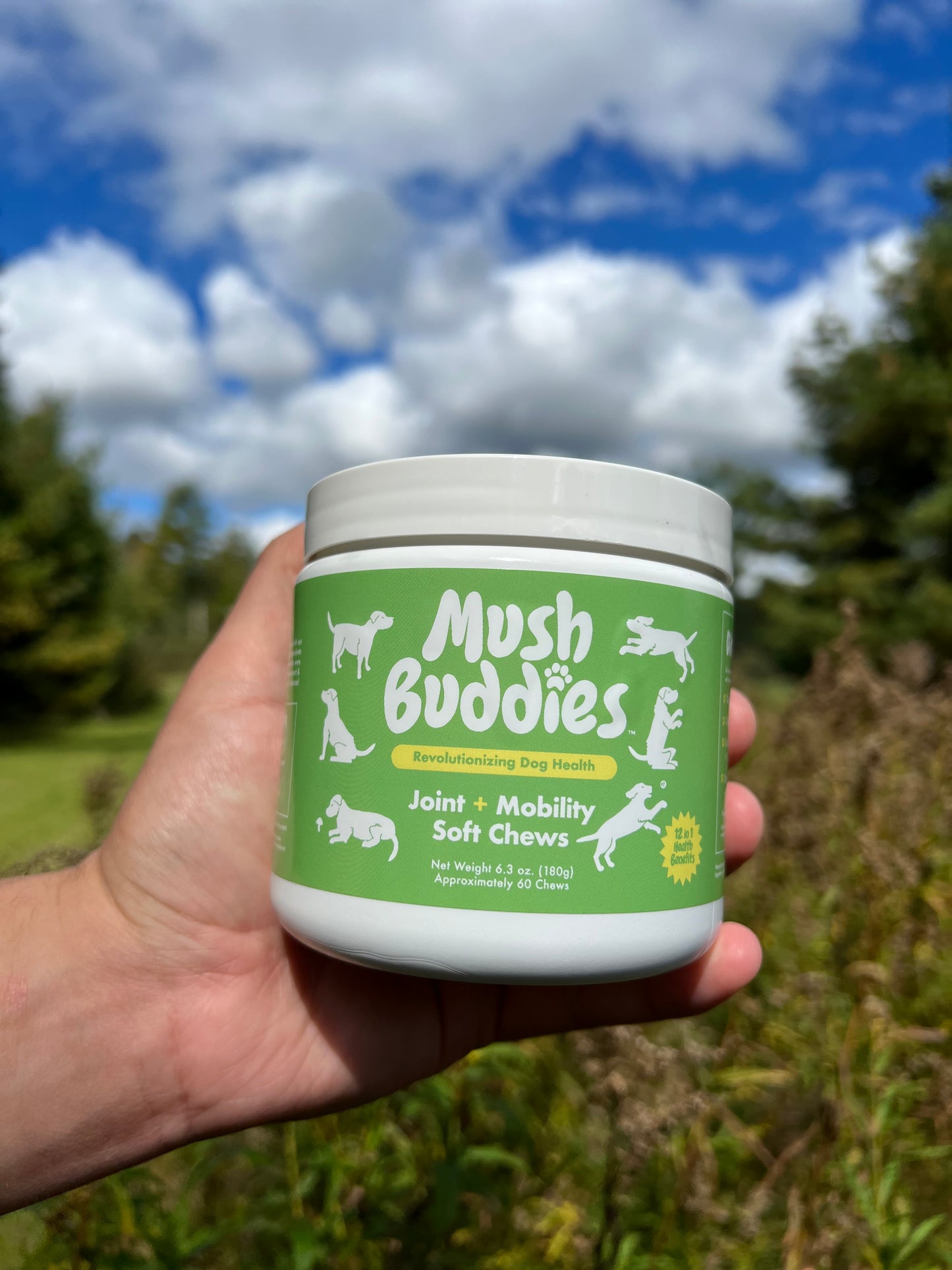 Joint & Mobility Chews