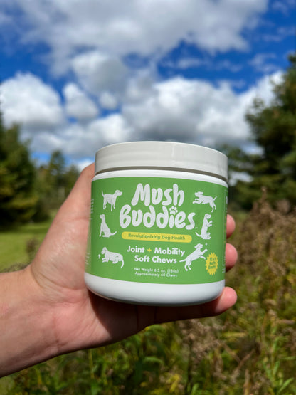 Joint & Mobility Chews