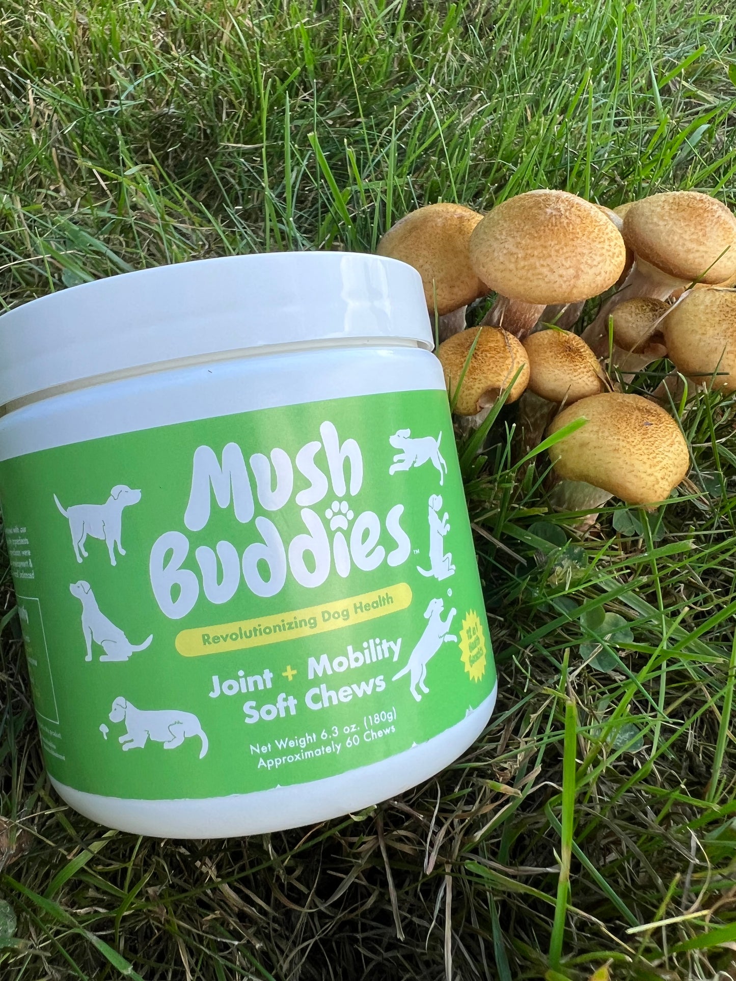 Joint & Mobility Chews