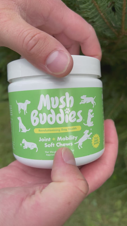 Joint & Mobility Chews